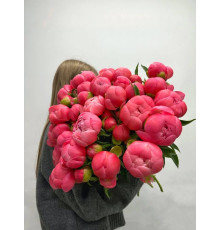 пион Coral Charm