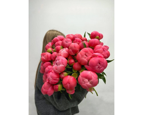 пион Coral Charm